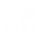 CSGEF Store